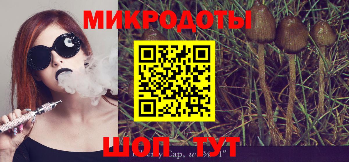 Псилоцибиновые грибы Psilocybine cubensis  Псилоцибиновые грибы Cubensis  Вход с VPN  Лабинск 